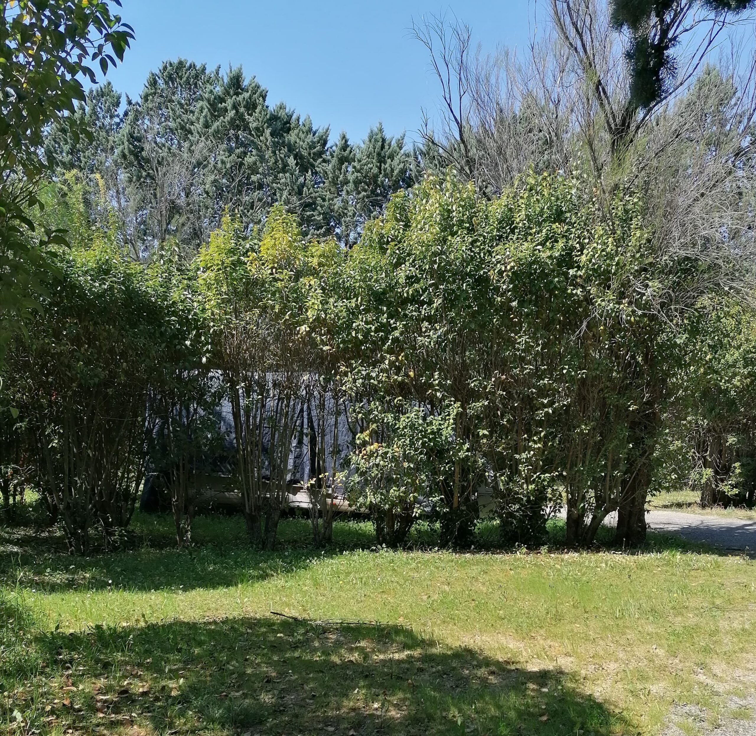 Forfait Nature (sans électricité)